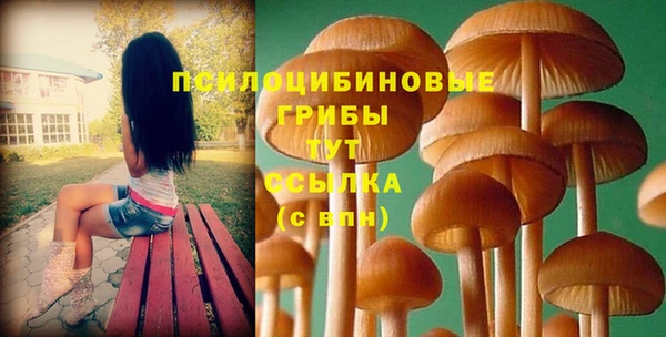 гашик Елизово
