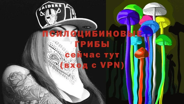 гашик Елизово