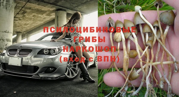 гашик Елизово