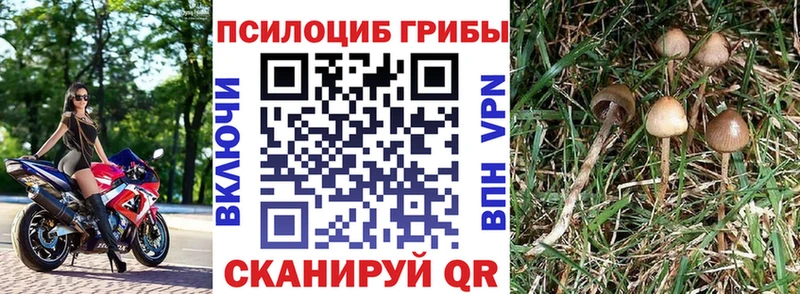 гидра ONION  Мичуринск  Псилоцибиновые грибы Magic Shrooms  закладки 
