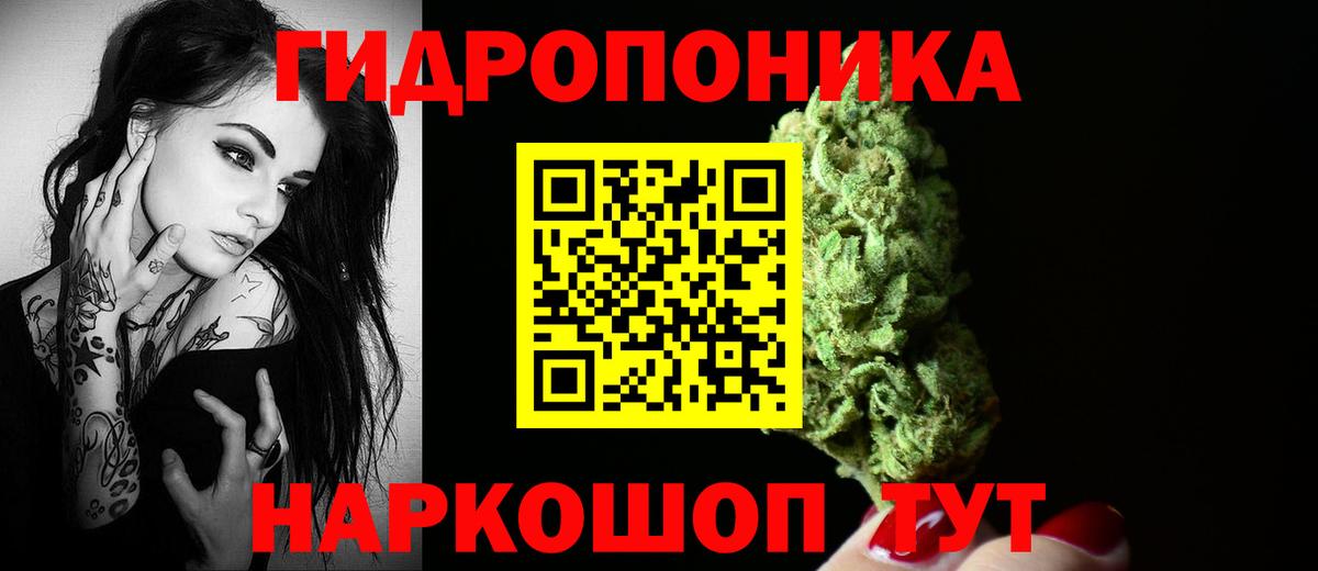 Каннабис тримм  Бошки марихуана план  Вход с VPN  Мичуринск 
